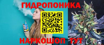 шишки Партизанск