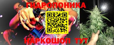 шишки Партизанск