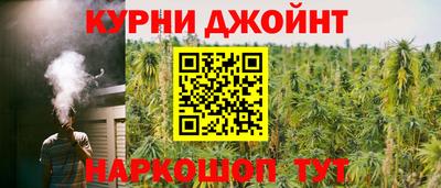 шишки Партизанск
