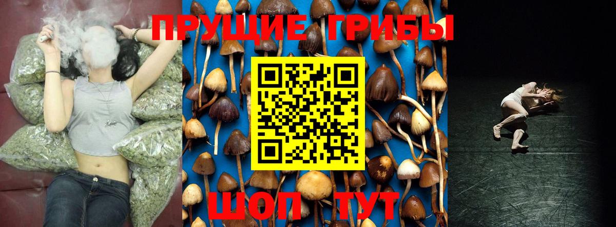 Галлюциногенные грибы MAGIC MUSHROOMS Советская Гавань