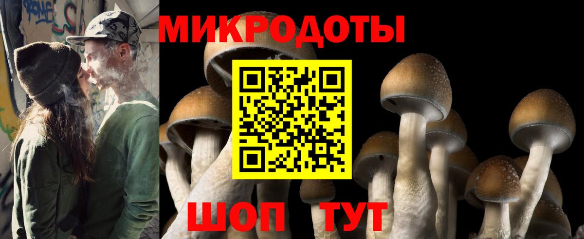Советская Гавань  Псилоцибиновые грибы ЛСД  Вход с VPN 